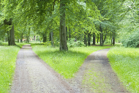 路口机会叉在通过木柴的路上绿色图片