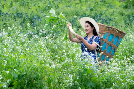 摘萝卜的年轻农民图片