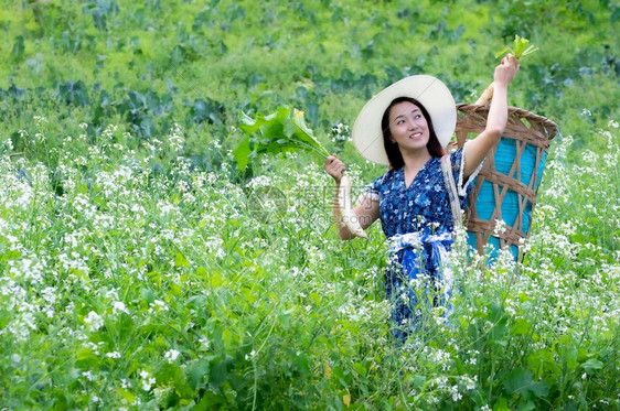 摘萝卜的年轻农民图片