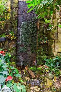 热带花园中流水瀑布美丽的后院建筑自然背景装饰品跑步岩石图片