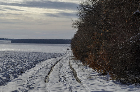 保加利亚欧洲和保加利亚Zavet附近露田与枯萎森林之间有泥土路的冬季风景衬套天户外图片