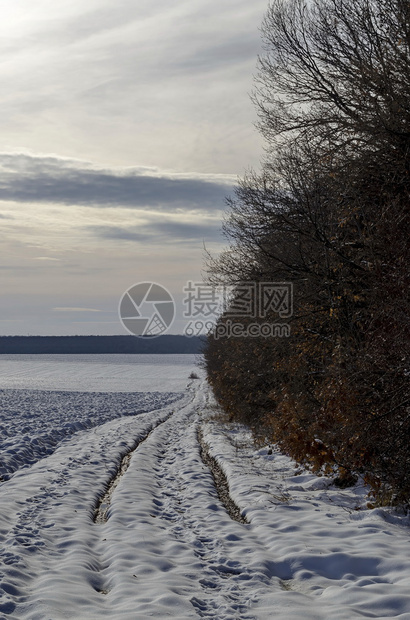 旅游下雪的保加利亚欧洲和保加利亚Zavet附近露田与枯萎森林之间有泥土路的冬季风景树图片