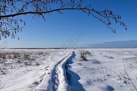 瑞典奥兰岛Beijershamn在瑞典自然保护区的荒原沼泽地中小路一月仙境霜图片