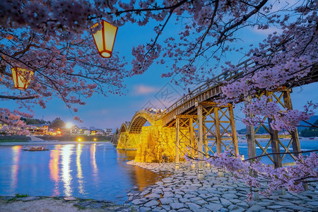 亚洲人岩国暮日落时本伊瓦库尼Kintaikyo桥樱花图片