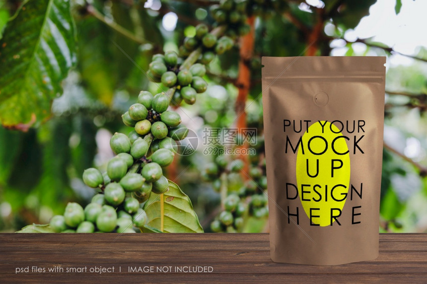 优雅的产品贮存用于牌化的高级大包装咖啡真空拉链模型图片