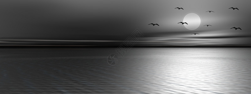 墙纸风暴云鸟儿在满月前飞行海洋的满月前宁静夜晚幻想图片