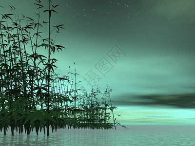 在水中的竹子绿色深夜背景Zen自然3D转化湖健康开花图片