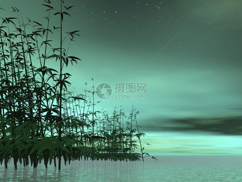 在水中的竹子绿色深夜背景Zen自然3D转化湖健康开花图片