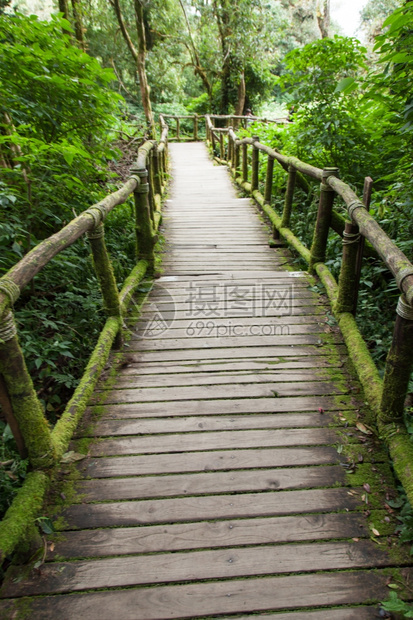 泰国自然风景优美由旧木桥制造的林侧边有茂密树木图片