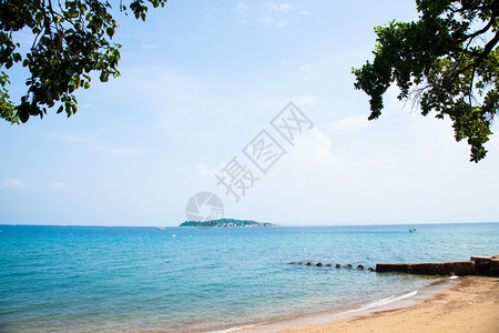 夏天带清水的海滩和有树木游客热带图片