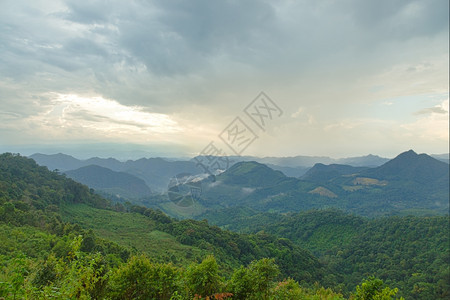 环境森林繁盛的山地群落在黑暗附近的夜空中山脉图片