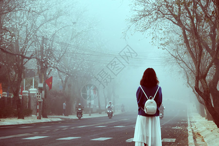 印象清晨令人惊异的场景越南达拉特市一路上有群白花在雾中飘着瓣的迷雾街道上女孩穿着背包站望往前紫荆惊人的图片