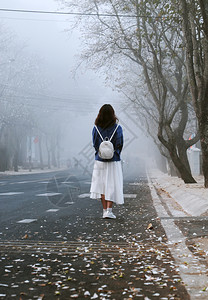 白色的独自清晨令人惊异场景越南达拉特市一路上有群白花在雾中飘着瓣的迷雾街道上女孩穿着背包站望往前寒冷的图片
