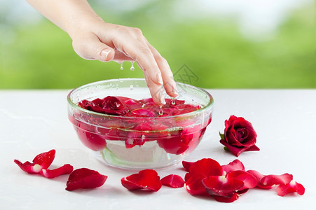 成人纯度们在玻璃杯水碗中用法式美甲做的法国女手在自然背景中以红玫瑰和胚胎为伴图片