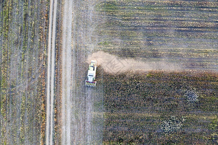 谷物工作机械实地业的收割机组合农业收割机集收获日葵田农业空中观察从上到下图片