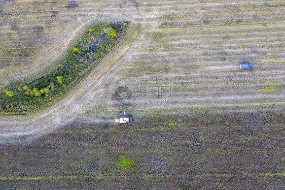 场景在职的培育实地作业收割机组合农业收割机集收获日葵田农业空中观察从上到下图片