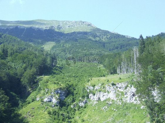 带乡村房屋的山景全带自然观的山全从窗户看带乡村房屋的山景插图夏天森林图片