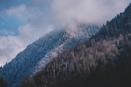 冬季雪景风光图片