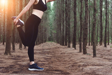 身体在户外运动和自然概念生活方式和动概念松树主题前在森林里跑步之前近身下做瑜伽和伸展腿的女子拉紧合身图片