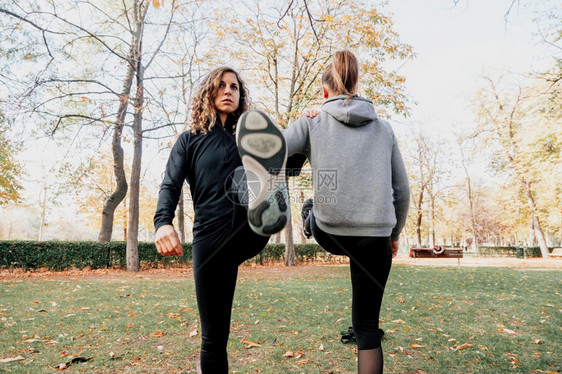 健身房几个女人在公园里一起户外训练几个女人在公园里户外训练帮助运动服图片