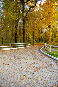 秋天公园里的篱笆栅栏图片