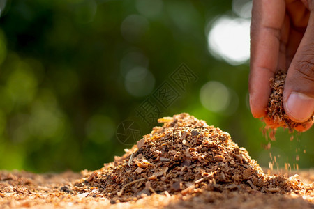 土灰或堆在地上的很多木屑工作堆积的图片