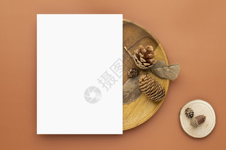 棕色的花黄秋季成分空白纸卡用干叶和棕色底面松锥形木蒙上白纸卡片图片