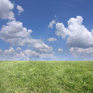 臭鼬清除云层天空和绿草的背景土地图片
