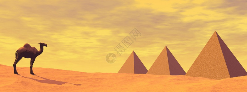 一只骆驼站在三座神秘金字塔前日落沙漠的3个神秘金字塔旁景观历史墓图片