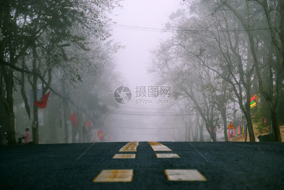 清晨越南大拉特市令人惊异的景色雾中一排白花树寒冷带十字路口的雾街道美丽的旅行景象越南好的人行横道小路图片