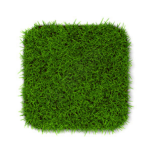 地球颜色以白背景孤立的绿草3d插图新鲜图片