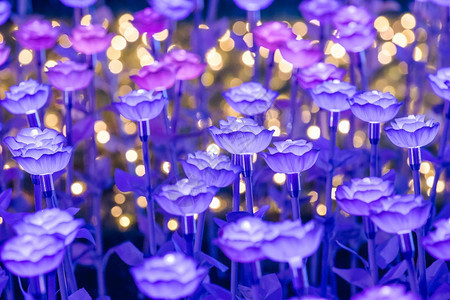 加冕礼夏天灯光被装饰成花朵在节日的夜晚创造美丽光芒假期图片