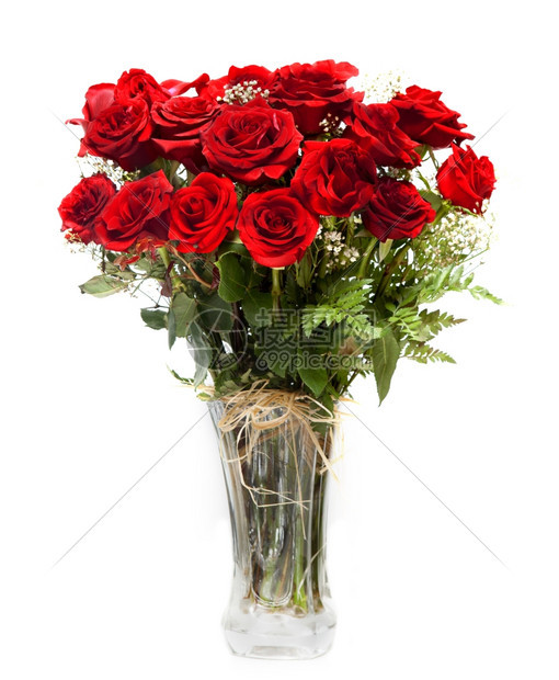 自然礼物白色背景的花瓶中盛开深红玫瑰花束目的图片