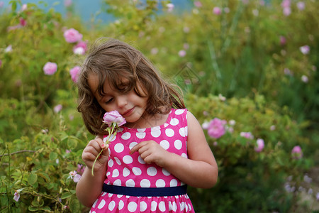 在玫瑰谷带粉红的小女孩开花罗莎瓣图片