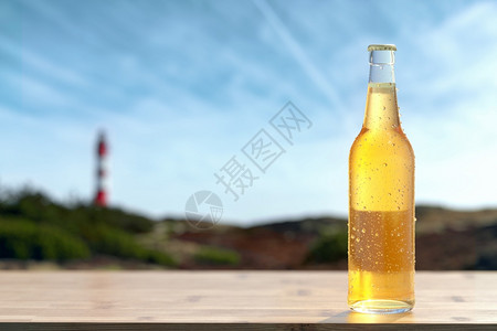 坐在木棍Dewy玻璃瓶上单冷啤酒背着白标签面光亮在海滩上放松概念酒精饮料和清概念喝小样常设图片