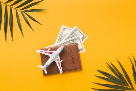 有创造力的喷射乘客平面假护照纸上盖有货币飞机雕像图片