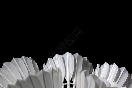 放白色的活动黑背景羽毛球锦标赛中的飞梭孔雀图片