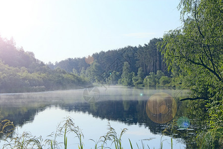 季节清晨的日出美妙夏风景清晨的雨雾笼罩在河中清晨的月亮雾笼罩着河流夏天的清晨森林喷洒在河中覆盖如画图片