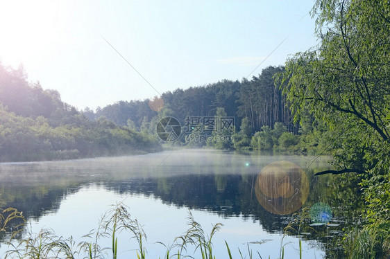 季节清晨的日出美妙夏风景清晨的雨雾笼罩在河中清晨的月亮雾笼罩着河流夏天的清晨森林喷洒在河中覆盖如画图片