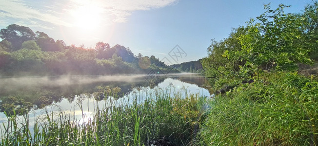 荒野清晨的日出美妙夏风景清晨的雨雾笼罩在河中清晨的月亮雾笼罩着河流夏天的清晨森林喷洒在河中射线太阳图片