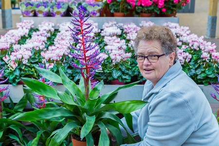 女顾客年长的高加索老妇女在花园商店露出卉中央图片