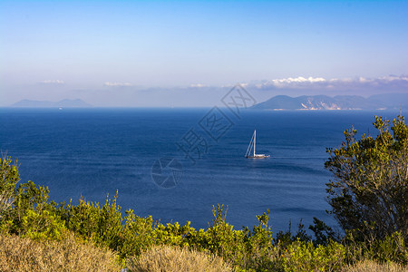 海洋植物上帆船夏季自然背景海上帆船夏季自然背景绿松石图片