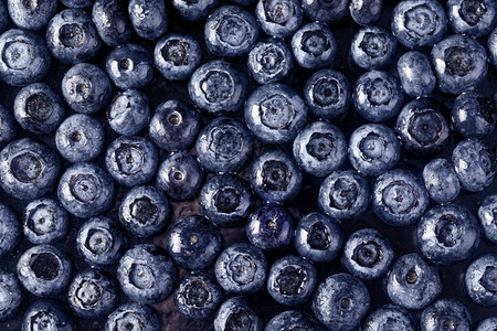 吃新鲜蓝莓和深底浅水滴健康饮食概念和饮食概念维他命浆果图片