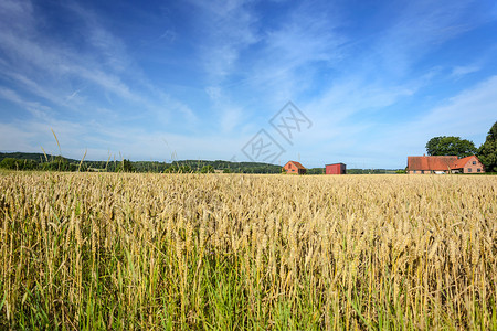 天空以蓝和云彩为背景的农用建筑面积覆盖着农业谷物田地场建筑环境地平线图片