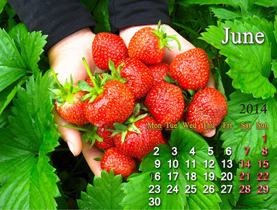 2014年6月关于新鲜草莓背景的2014年6月日历衬套成熟丰富多彩的图片