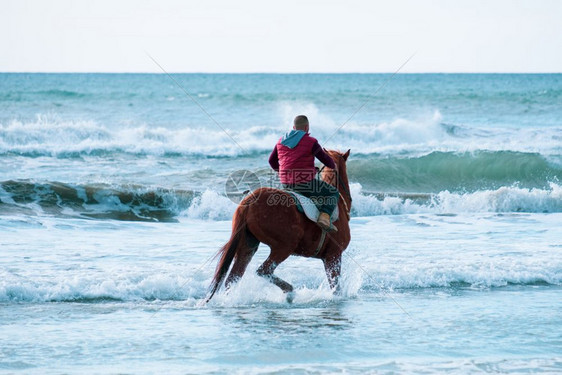 男人在塞浦路斯AyiaErini海滩的中骑着棕色快马对准粗海帕利卡拉斯旅行阿依亚图片