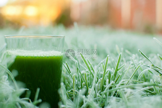 黄瓜冷冻的草地上有机绿色脱毒果汁茶点薄荷图片