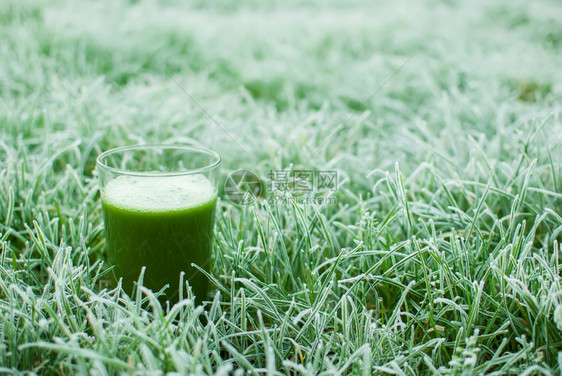 木头清爽冷冻的草地上有机绿色脱毒果汁养分图片
