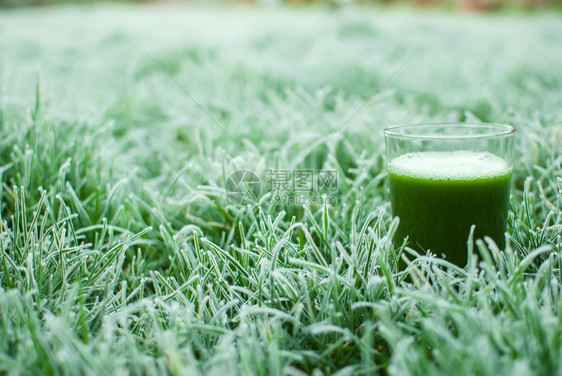 冷冻的草地上有机绿色脱毒果汁一顿饭清爽黄瓜图片
