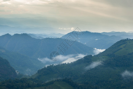 高山综合岩雾清晨和晚间都雾风景草蒙的图片